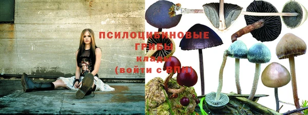 эйфоретик Алексин
