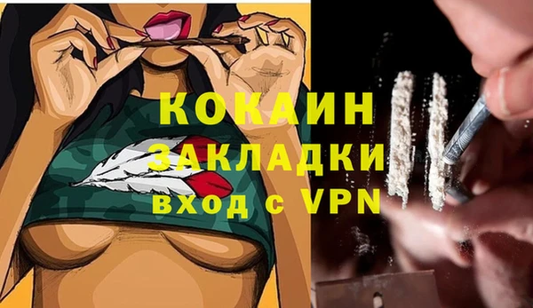 2c-b Алзамай