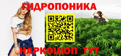 индика Чапаевск