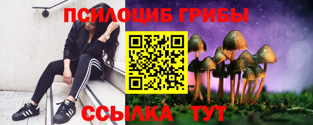 Галлюциногенные грибы GOLDEN TEACHER Полысаево
